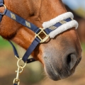 Kantar dla konia z kryształkami Horsenjoy Tiffany w kolorze granatowym