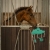 Zabawka dla konia do boksu QHP Nowy w kolorze zielonym