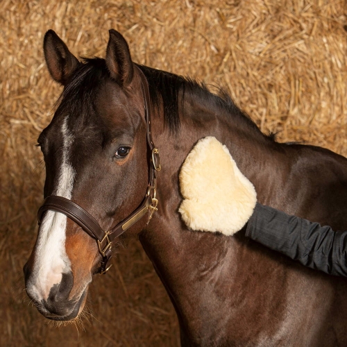 Rękawica do nabłyszczania sierści Harry's Horse Merynos