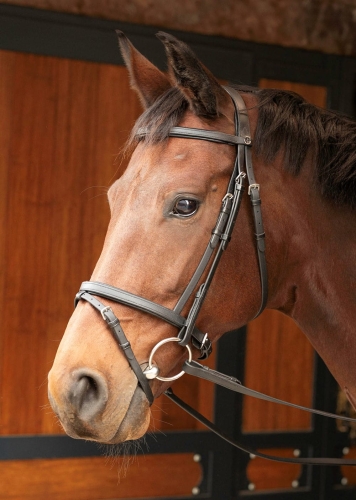 Ogłowie dla konia Harry's Horse Easy Care w kolorze czarnym