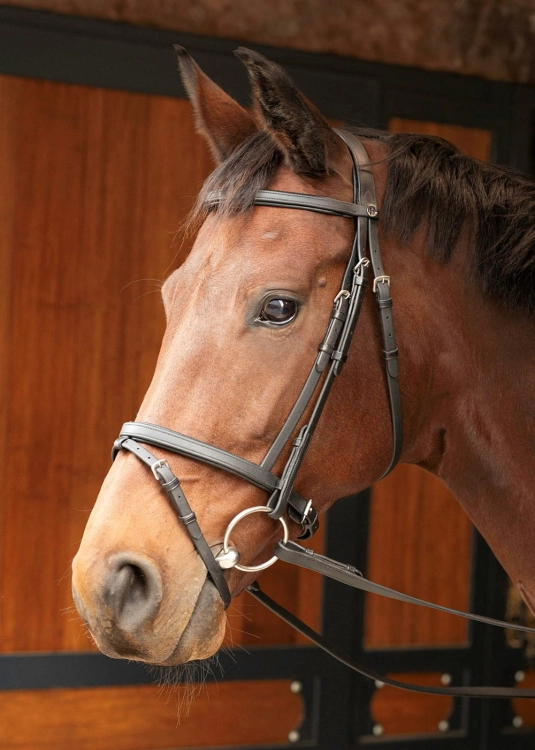 Ogłowie dla konia Harry's Horse Easy Care w kolorze czarnym