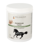 WALDHAUSEN suplement MAGNESIUM wydolność,spokój   24H