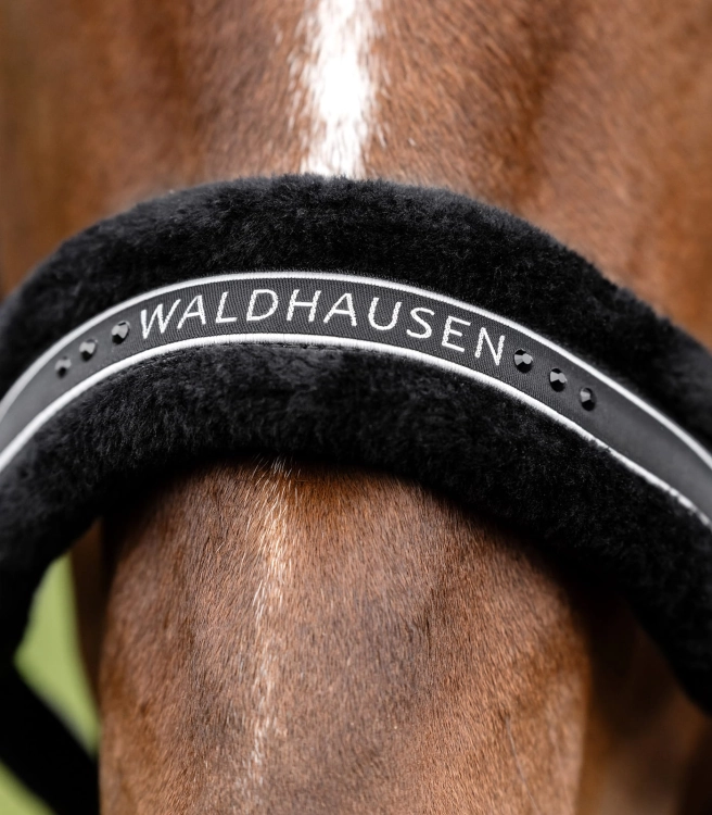 Kantar z futerkiem Waldhausen Elegant w kolorze black na koniu