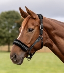 WALDHAUSEN kantar ELEGANT black/black