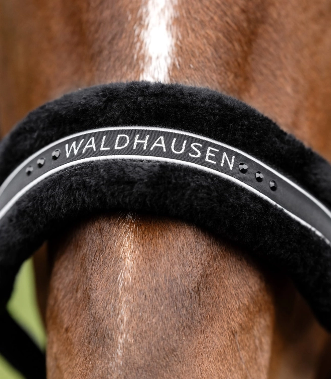 Kantar z futerkiem Waldhausen Elegant w kolorze black na koniu