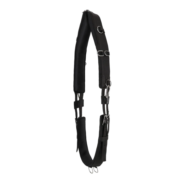 Pas do lonżowania QHP Padded
