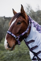 HORZE kantar DREAMER dapple print 24H