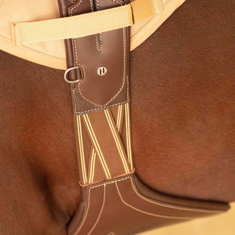 Popręg skokowy z gumami po obu stronach Harry's Horse Deluxe w kolorze brązowym