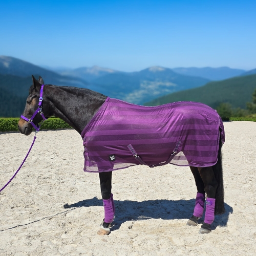 Derka siatkowa York Lyra w kolorze lawendowym na koniu