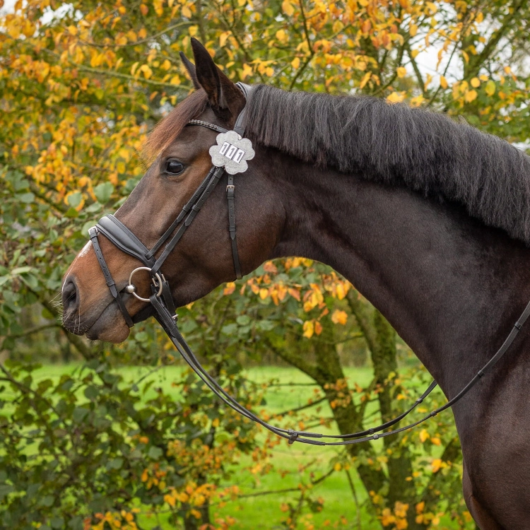 Numer startowy jeździecki QHP Clover w kolorze srebrnym