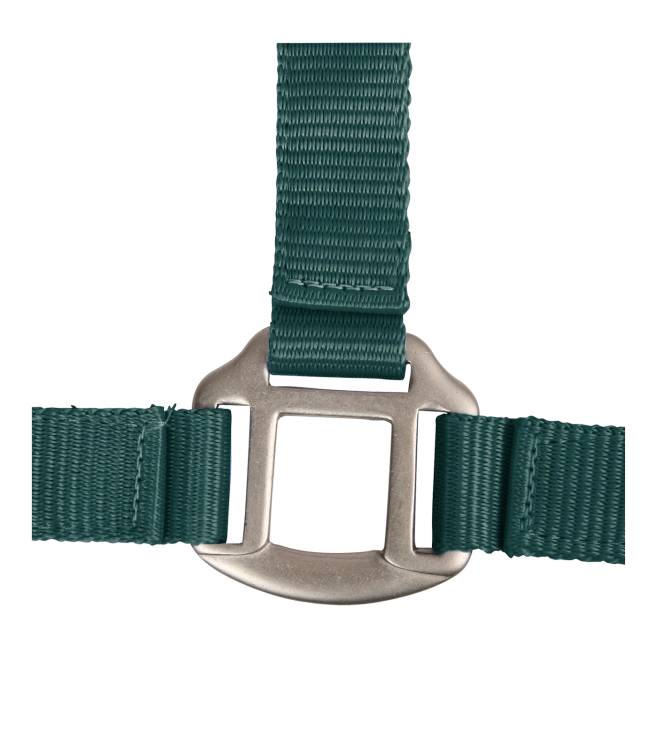 Solidny kantar dla konia Waldhausen Satin w kolorze zielonym