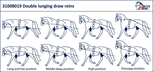 Jak używać lonży podwójnej Harry's Horse?