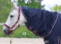 HORSENJOY kaptur do derki Aristo 600D