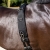 Pas do lonżowania QHP Padded