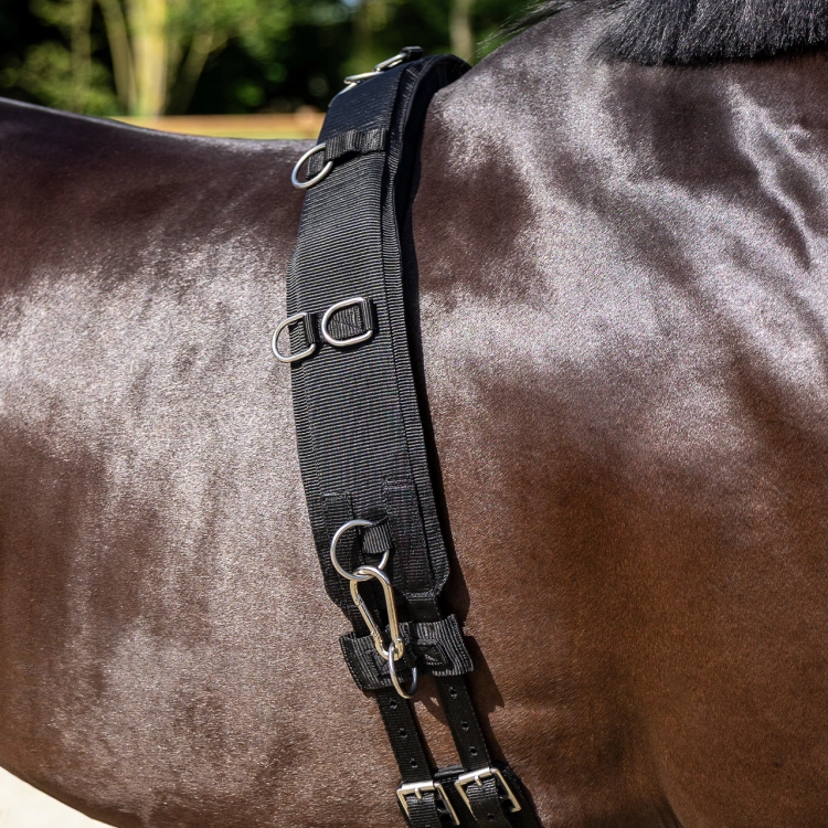 Pas do lonżowania QHP Padded