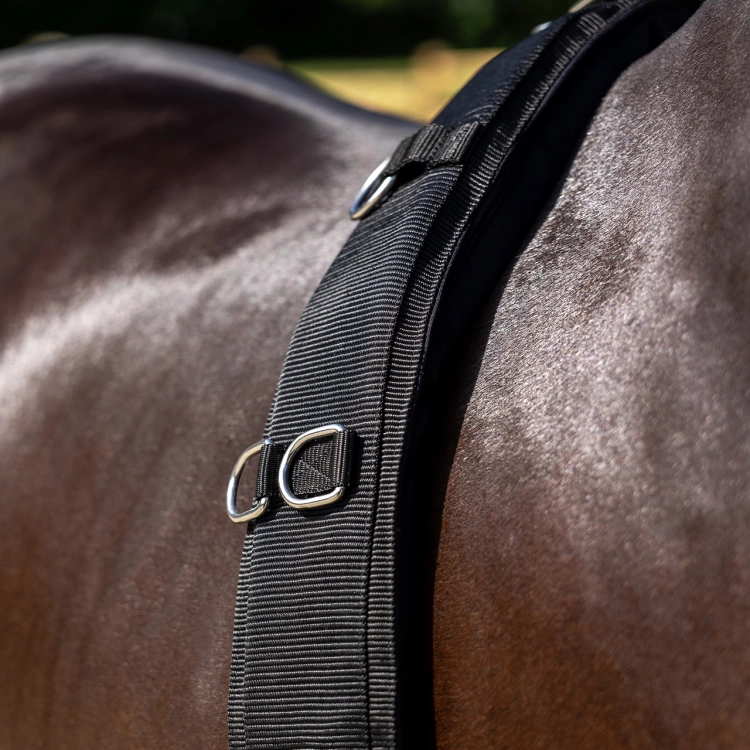 Pas do lonżowania QHP Padded