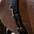 Pas do lonżowania QHP Padded