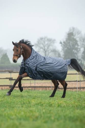 Derka padokowa HKM Highneck Glasgow 1200D w kolorze deep blue check na koniu