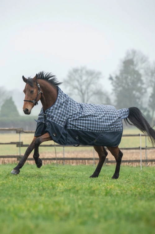 Derka padokowa HKM Highneck Glasgow 1200D w kolorze deep blue check na koniu