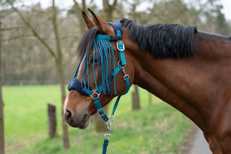 Zestaw kantar, uwiąz i frędzle przeciwko owadom HKM w kolorze petrol