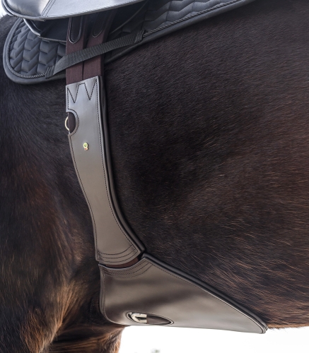 Popręg skokowy Waldhausen w kolorze brązowym