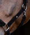 Kantar z podszyciem Waldhausen Gallen w kolorze czarnym na koniu