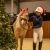 Akcesoria świąteczne dla konia i jeźdźca QHP Christmas