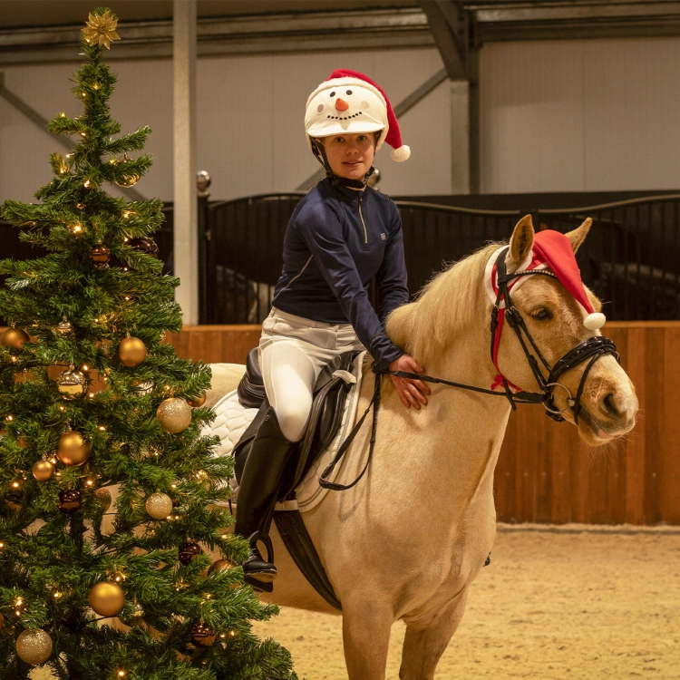 Świąteczne ozdoby dla konia i jeźdźca QHP Christmas