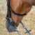Ogłowie skórzane Harry's Horse Anatom w kolorze czarnym