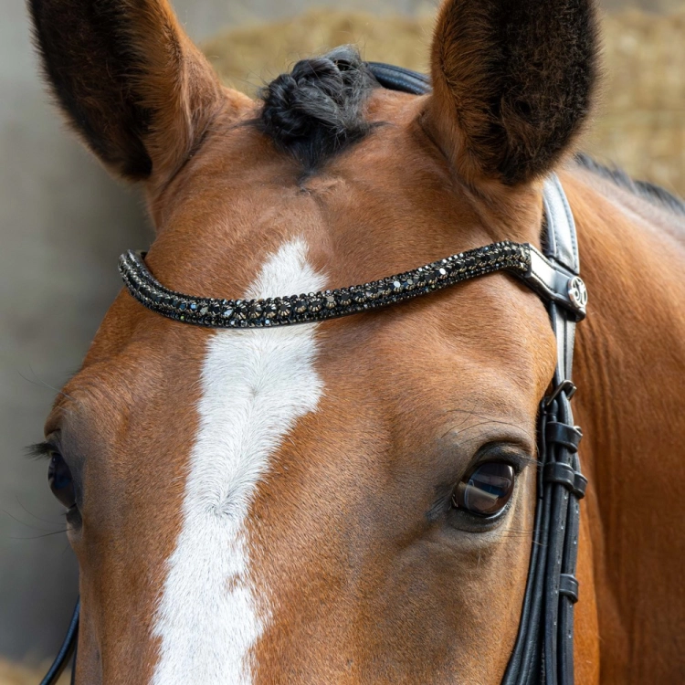 Ogłowie z naczółkiem z kryształkami Harry's Horse Anatom w kolorze czarnym