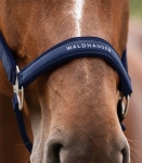 WALDHAUSEN kantar ATHLETIC night blue