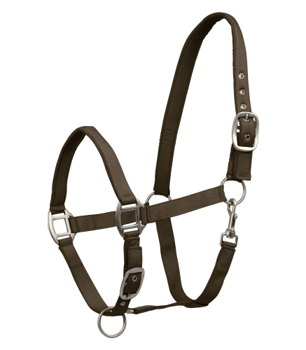 Kantar dla konia Waldhausen Satin w kolorze green brown