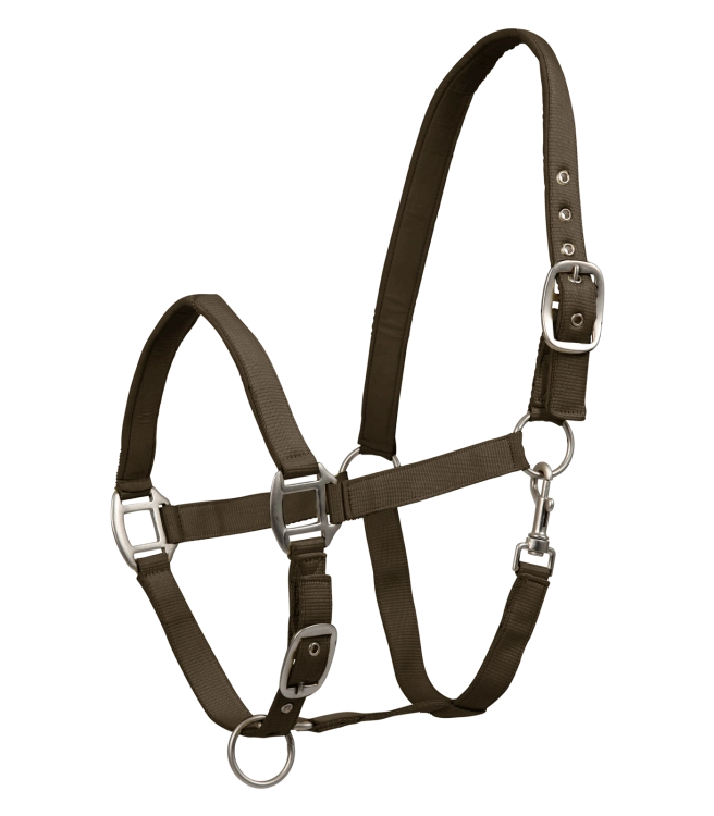 Kantar dla konia Waldhausen Satin w kolorze green brown