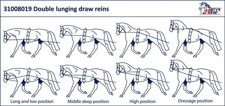 Jak używać lonży podwójnej Harry's Horse?