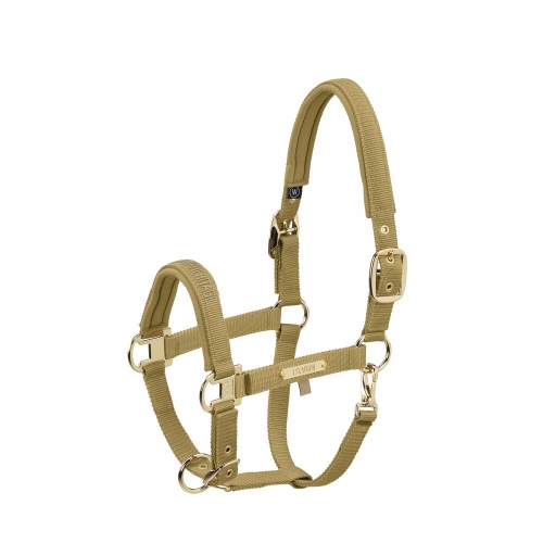 Kantar dla konia Eskadron Heritage Girth w kolorze cardamom