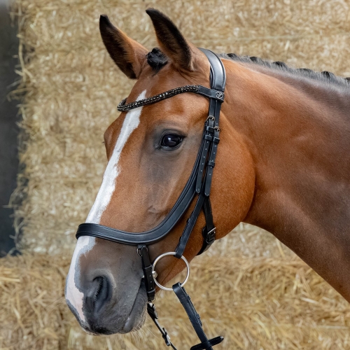 Ogłowie dla konia Harry's Horse Anatom w kolorze czarnym