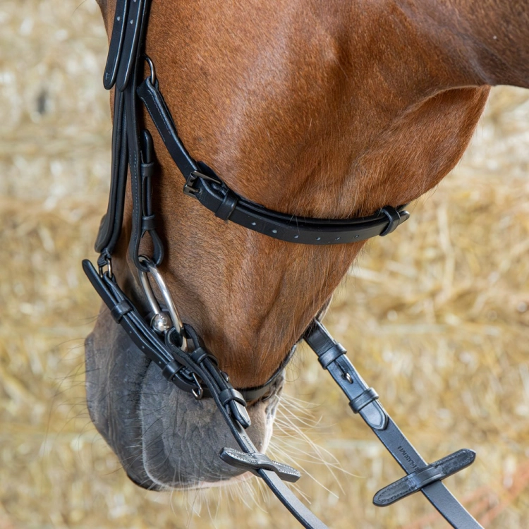Ogłowie skórzane Harry's Horse Anatom w kolorze czarnym