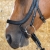 Ogłowie z anatomicznym nachrapnikiem Harry's Horse Anatom w kolorze czarnym