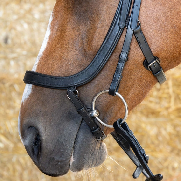 Ogłowie z anatomicznym nachrapnikiem Harry's Horse Anatom w kolorze czarnym