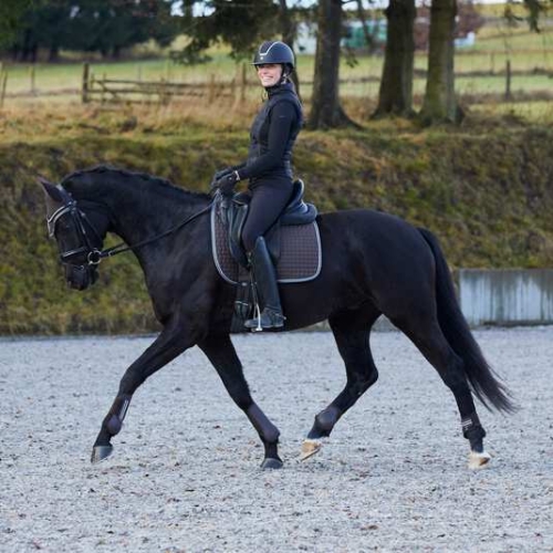 Czaprak Horze Adepto w kolorze brązowym na koniu