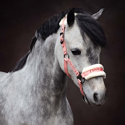 Kantar z futerkiem i uwiązem w kolorze różowym Harry's Horse Love