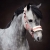 Kantar z futerkiem i uwiązem w kolorze różowym Harry's Horse Love
