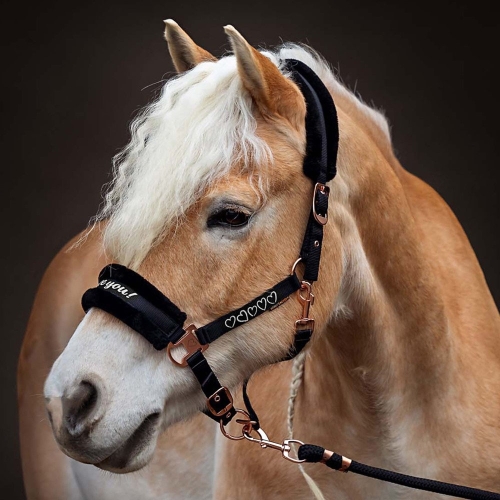 Kantar z futerkiem i uwiązem w kolorze czarnym Harry's Horse Love