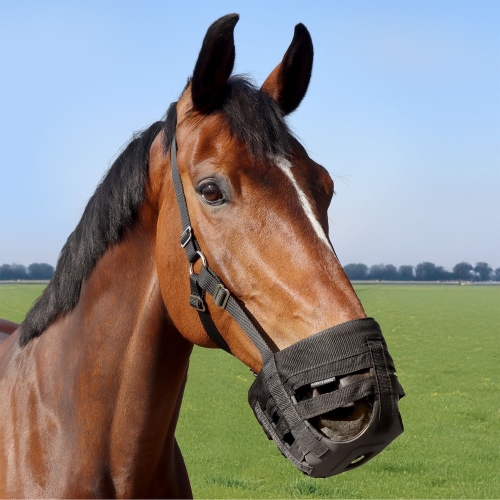 Kaganiec dla konia Harry's Horse Air na koniu