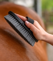 WALDHAUSEN szczotka Syntetic black