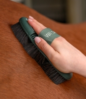 WALDHAUSEN szczotka z włosia FLEX mistletoe