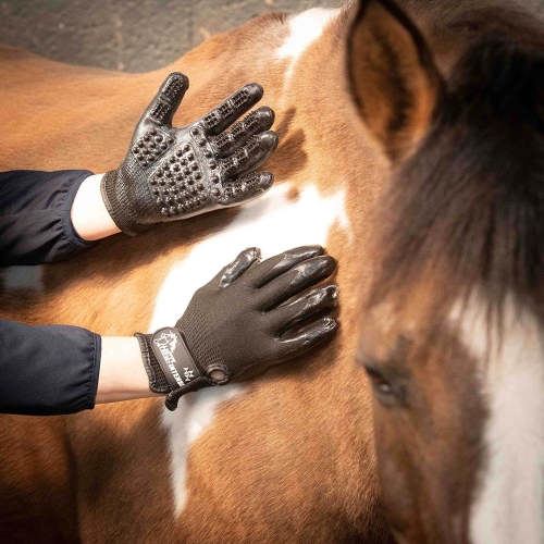 Rękawica do czyszczenia i masażu Harry's Horse