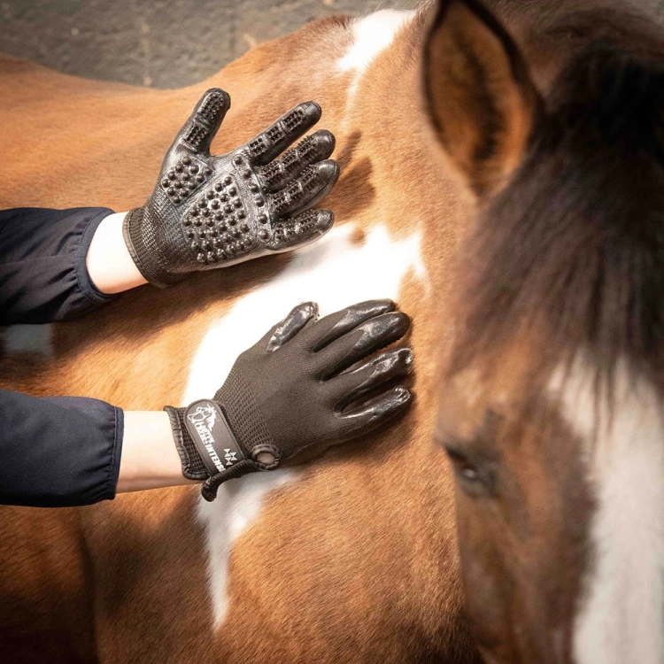 Rękawica do czyszczenia i masażu Harry's Horse