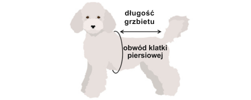 Jak zmierzyć psa pod kurtkę?