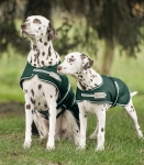WALDHAUSEN derka dla psa RAIN fir green